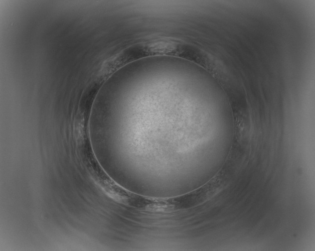 X0000081290745200701111358