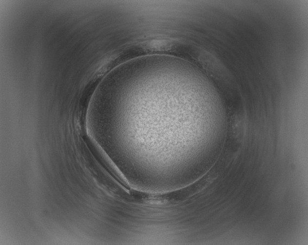 X0000081290746200701111358