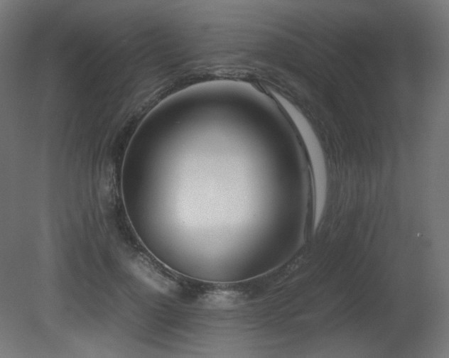 X0000081290748200701111358
