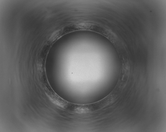 X0000081290749200701111358