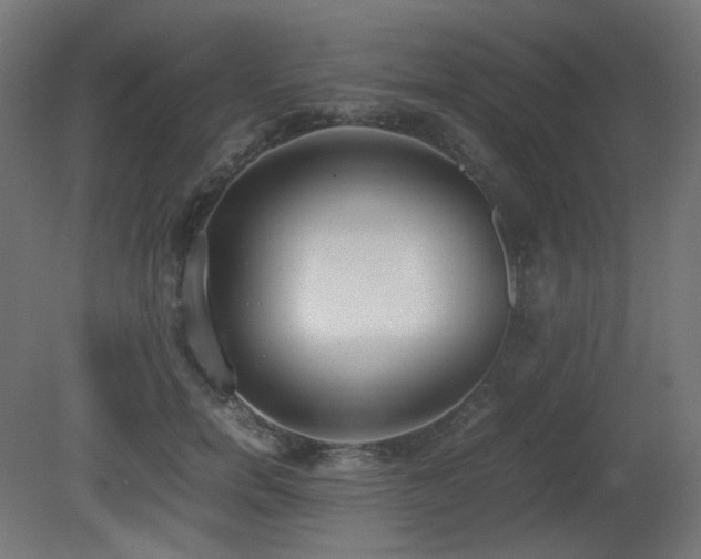 X0000081290750200701111358