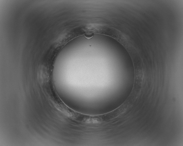 X0000081290751200701111358