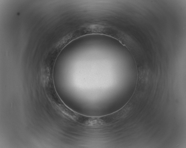X0000081290752200701111358