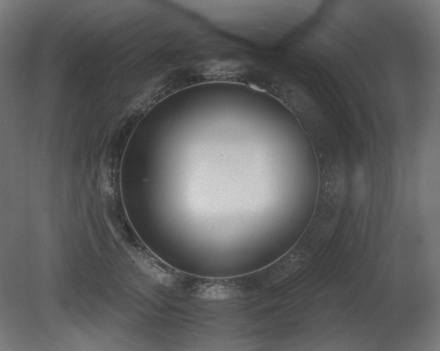 X0000081290755200701111358