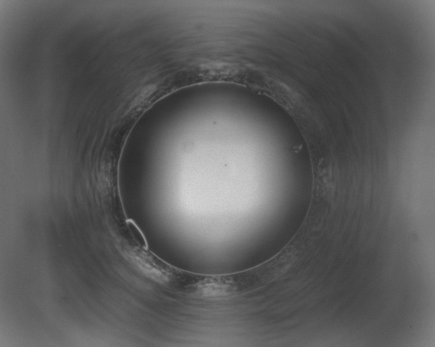 X0000081290756200701111358