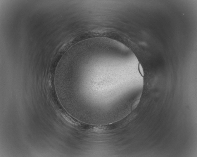 X0000081290758200701111358
