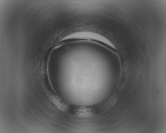 X0000081290760200701111358