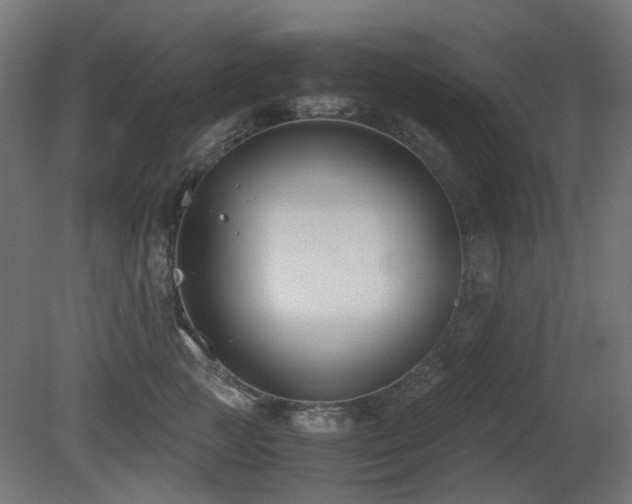 X0000081290761200701111358