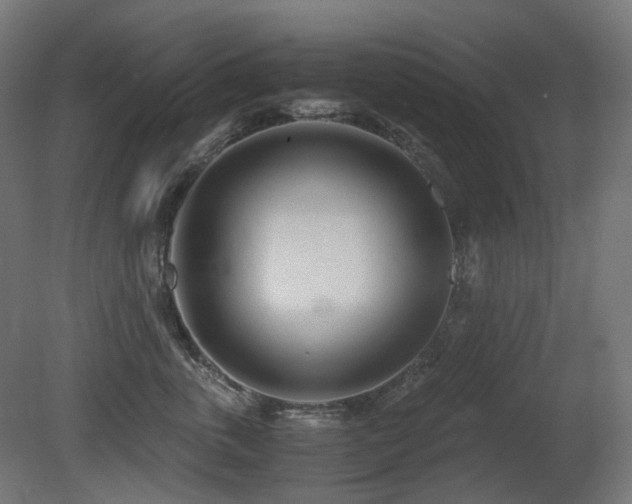 X0000081290763200701111358