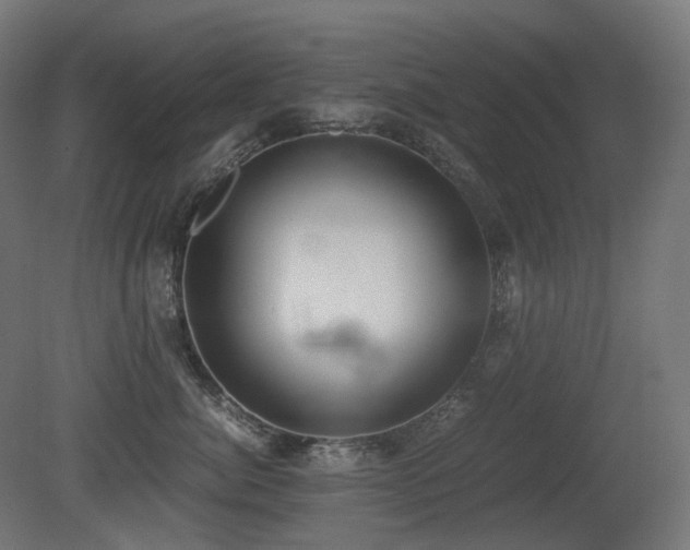 X0000081290764200701111358