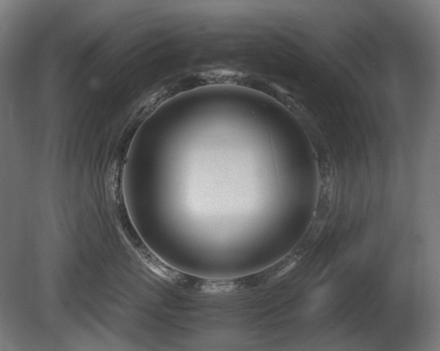 X0000081290767200701111358