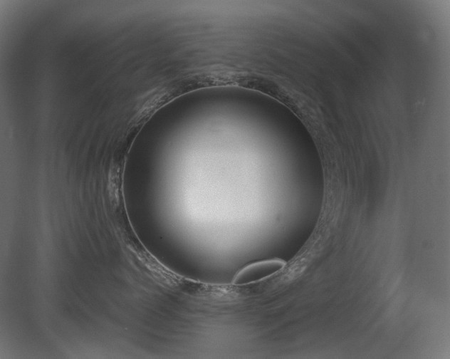 X0000081290768200701111358