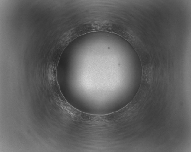 X0000081290770200701111357