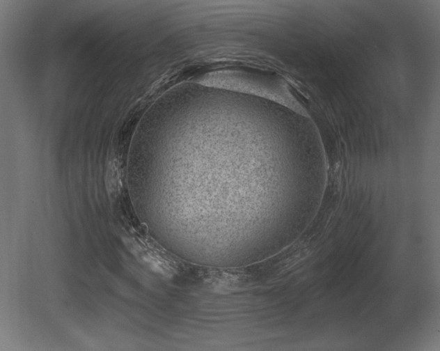 X0000081290772200701111357