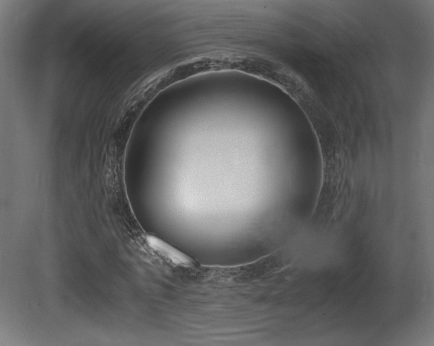 X0000081290773200701111357