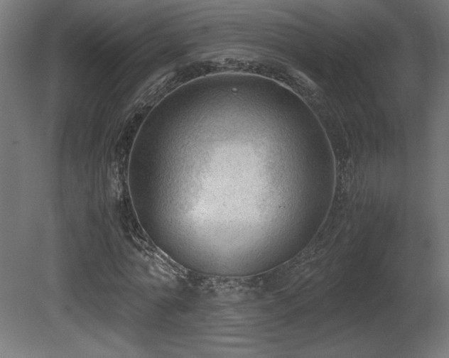 X0000081290774200701111357