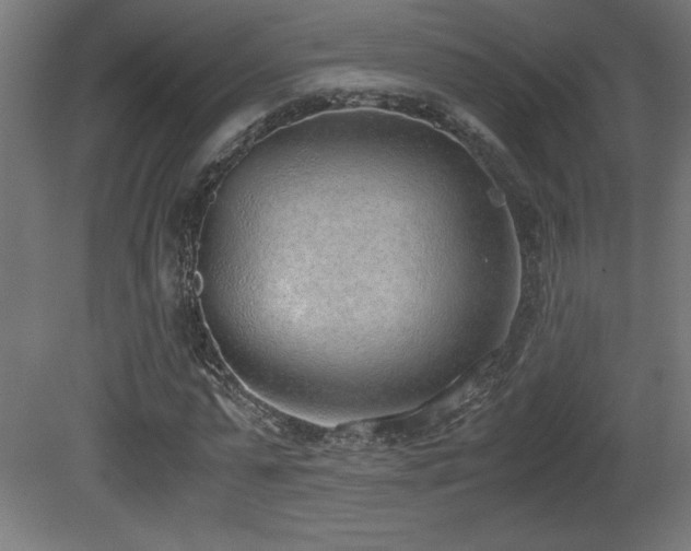 X0000081290775200701111357