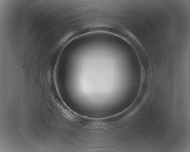 X0000081290777200701111357
