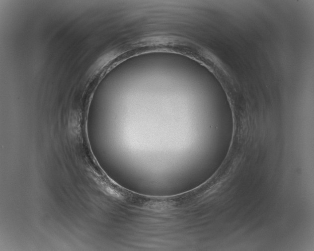 X0000081290778200701111357