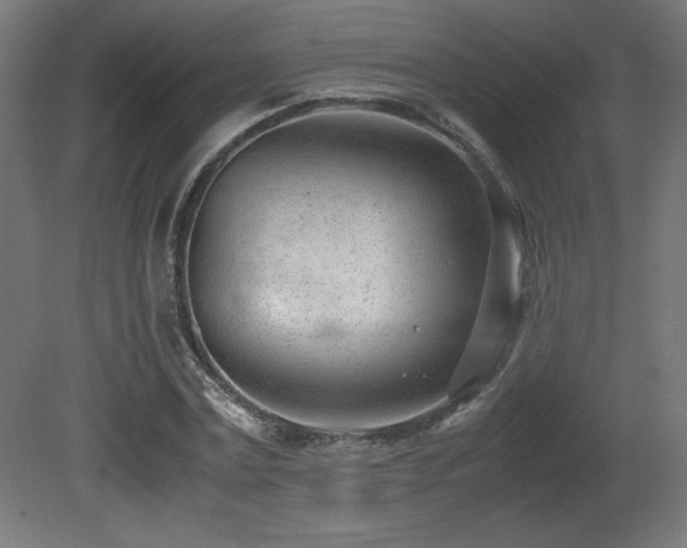X0000081290779200701111357
