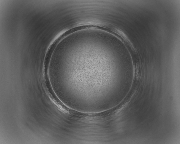 X0000081290780200701111357