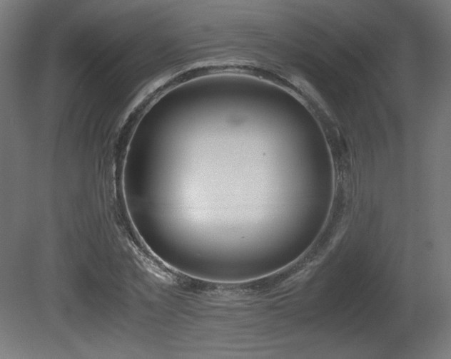 X0000081290781200701111357