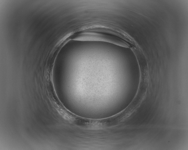 X0000081290785200701111357