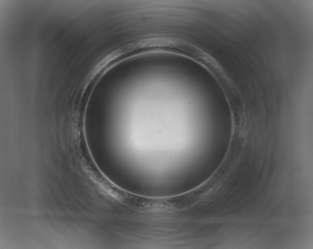 X0000081290786200701111357