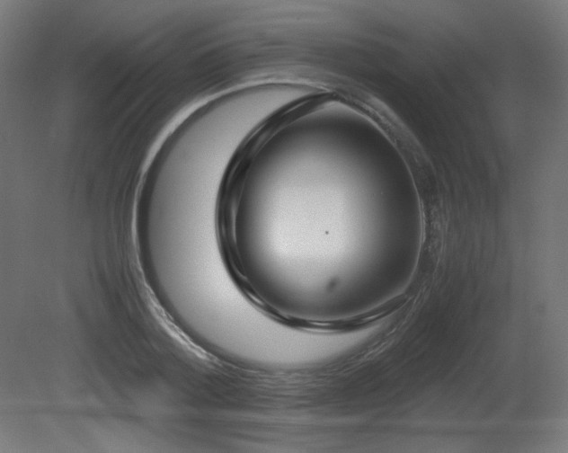 X0000081290788200701111357