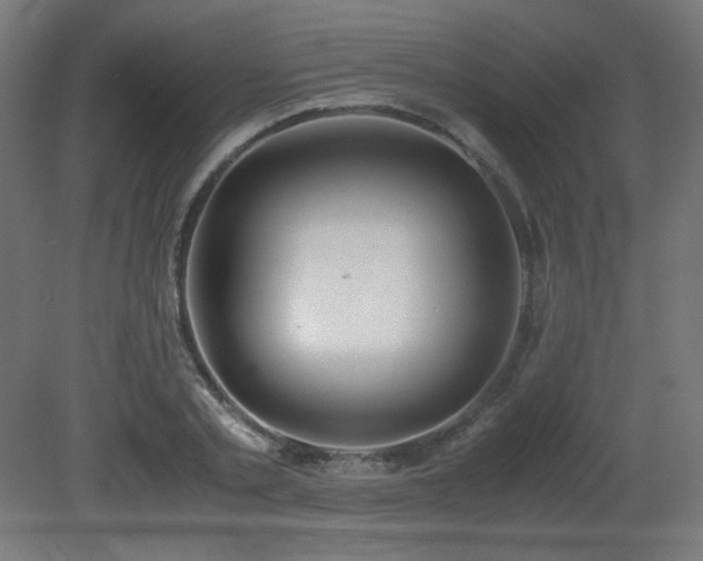 X0000081290789200701111357