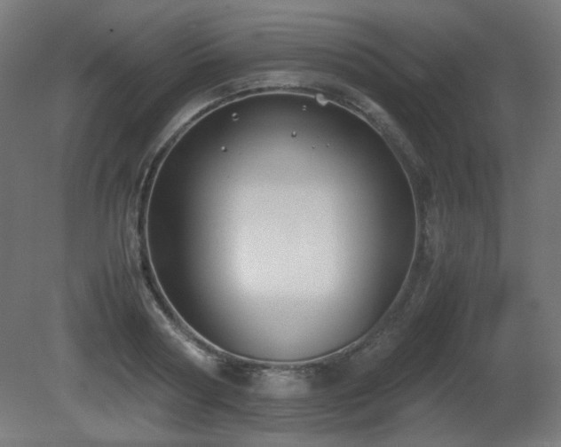 X0000081290794200701111357