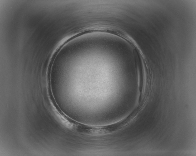 X0000081290795200701111357