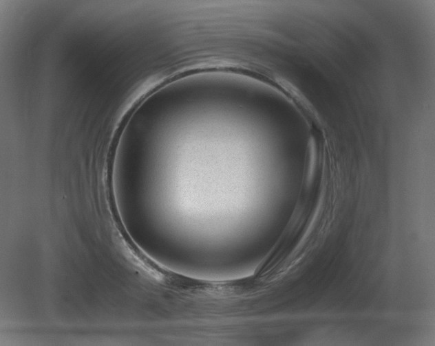 X0000081290797200701111357