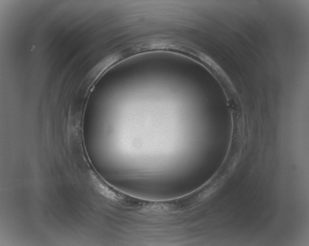 X0000081290801200701111357