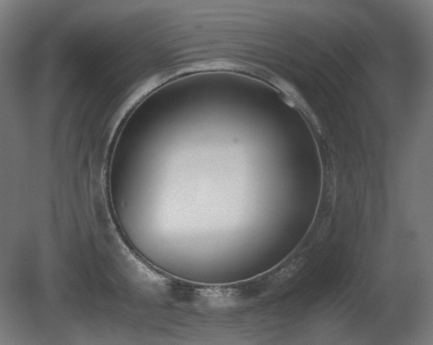 X0000081290805200701111357