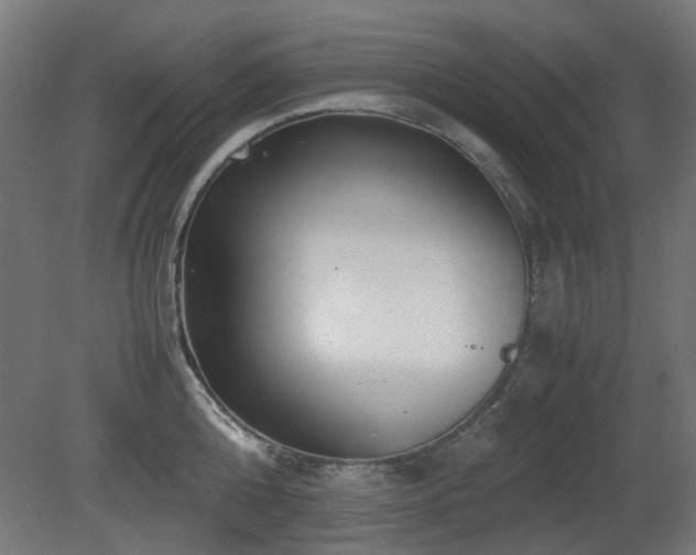 X0000081290808200701111357