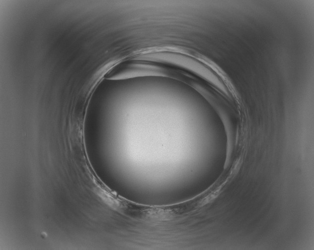 X0000081290809200701111357