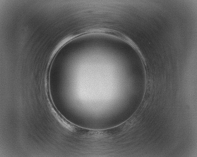 X0000081290811200701111357
