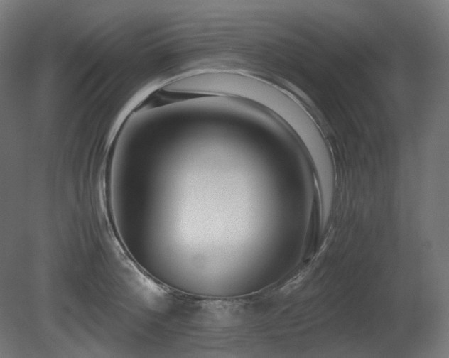 X0000081290812200701111357