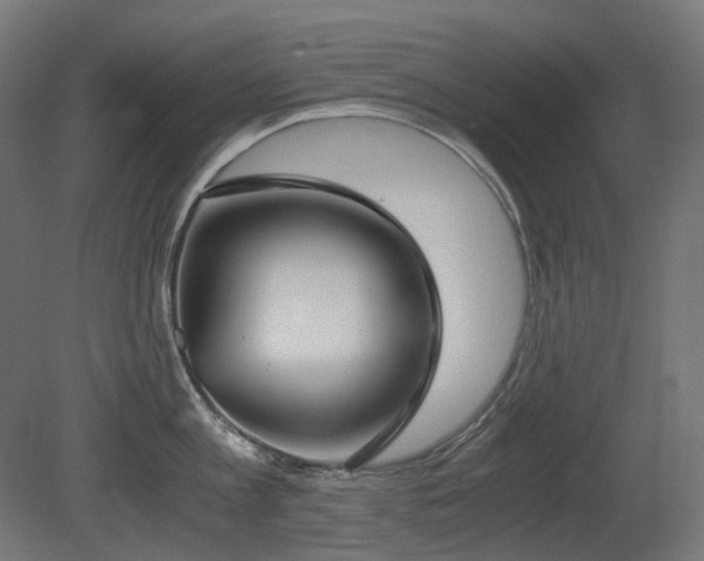 X0000081290813200701111357