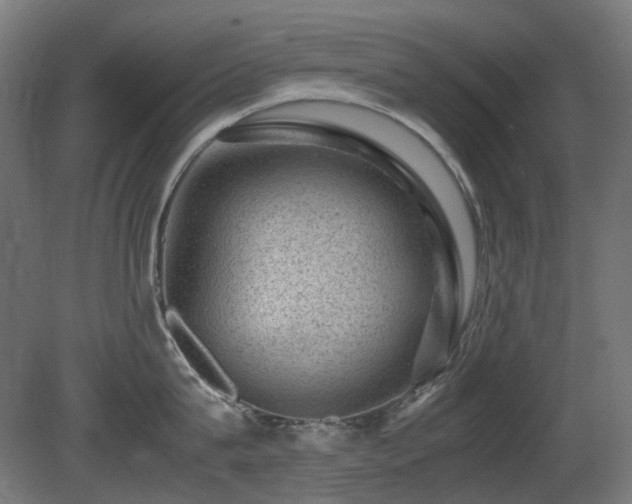 X0000081290815200701111357