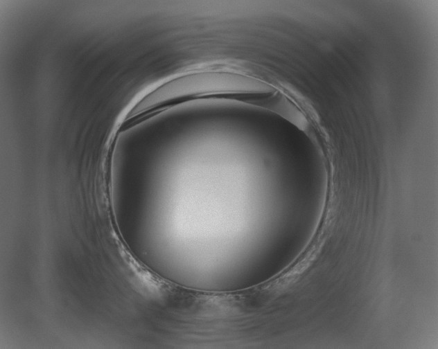 X0000081290816200701111357