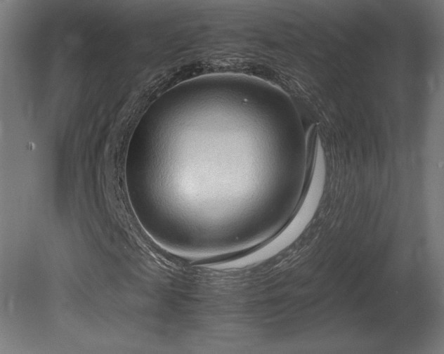 X0000081290817200701111356