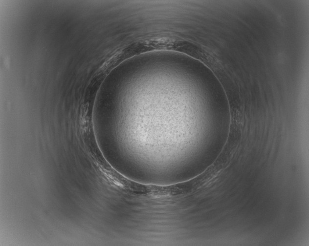 X0000081290818200701111356