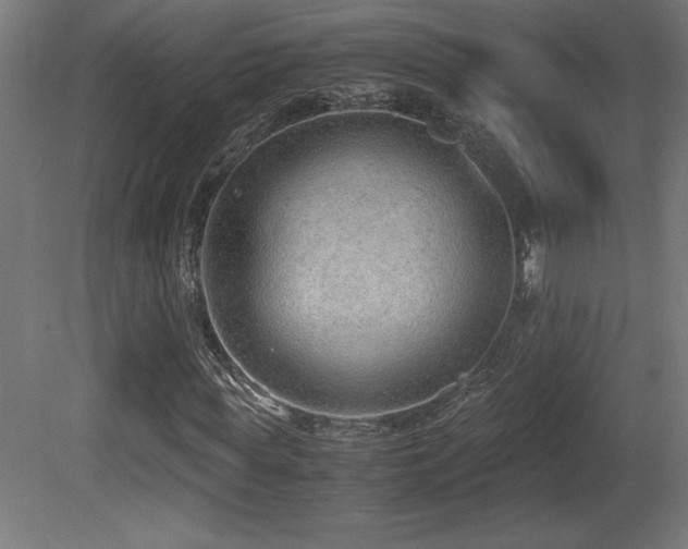 X0000081290819200701111356