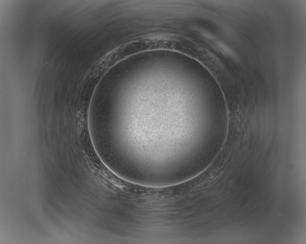 X0000081290821200701111356