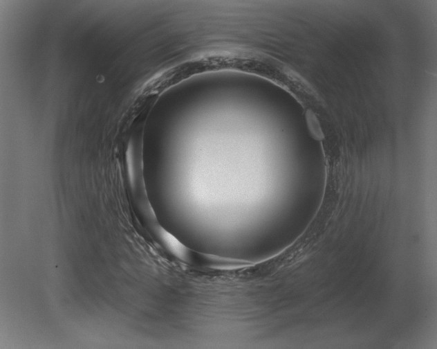 X0000081290822200701111356