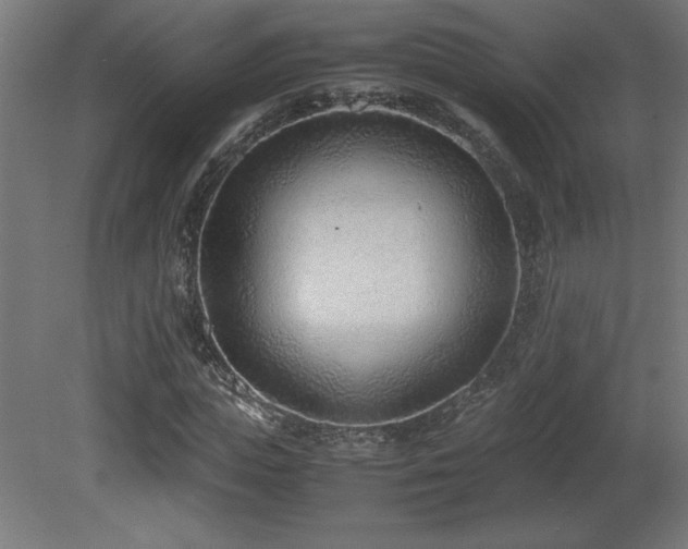 X0000081290823200701111356