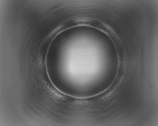 X0000081290825200701111356