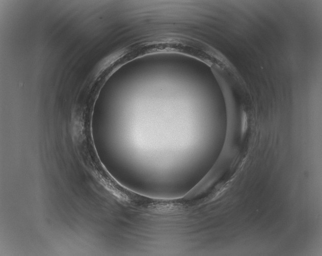 X0000081290826200701111356